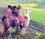 Ecuador Llama & Children