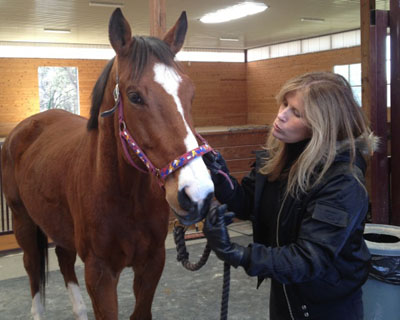 Metro & Jill Rappaport