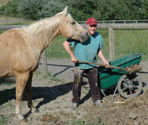There&rsquo;s got to be a Pony in Here Somewhere!