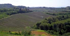 Tuscan Hills