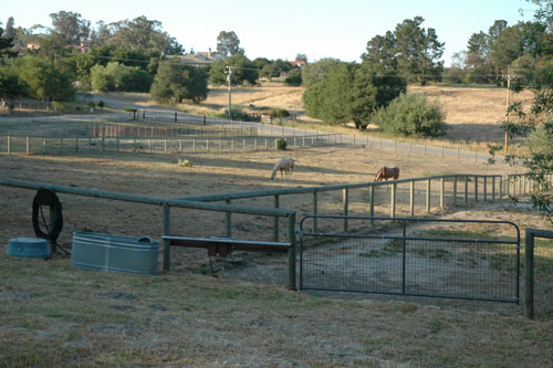 Freshly Mowed Pastures Ready for Painters