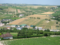 Sancerre Valley