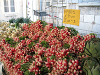 Abundance at the Farmer's Market