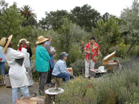 Plein Aire in Sonoma #1