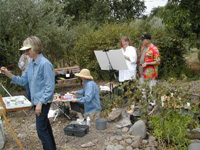 Plein Aire in Sonoma #4